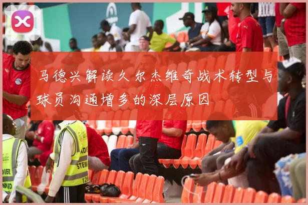 马德兴解读久尔杰维奇战术转型与球员沟通增多的深层原因