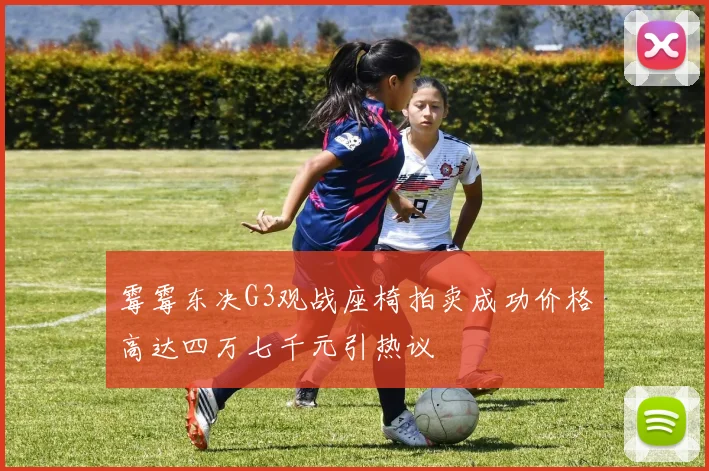 霉霉东决G3观战座椅拍卖成功价格高达四万七千元引热议