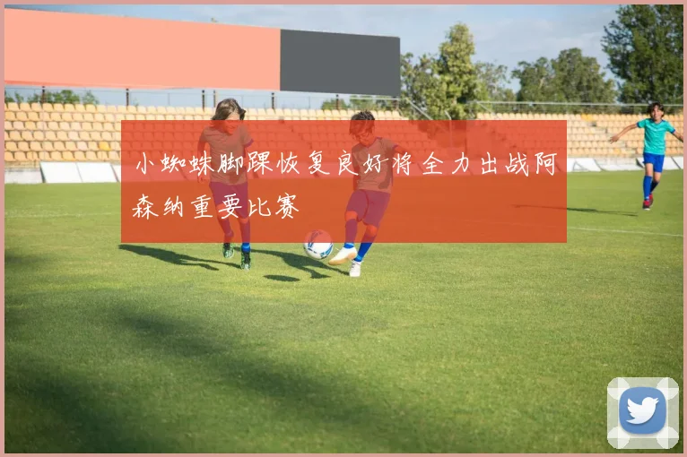 小蜘蛛脚踝恢复良好将全力出战阿森纳重要比赛