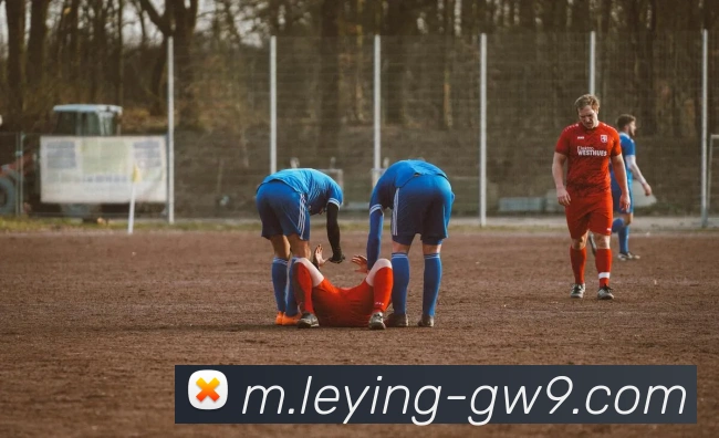 登录器